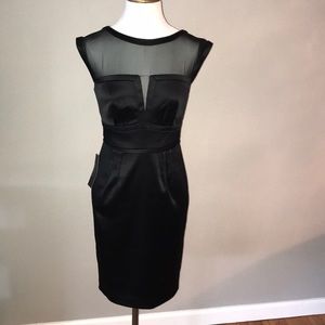 The Limited Black Sheer Top Dress